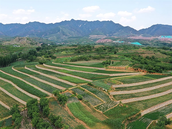 礦山修復(fù)工程